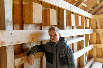 Ein Schüler des Feldscheunen-Projekts im achten Jahrgang der MKG an dem Bau auf einer Weidewiese in Westladbergen, hier bei den im Inneren angebrachten Nistkästen. (Foto: Alfred Riese) Ein Schüler des Feldscheunen-Projekts im achten Jahrgang der MKG an dem Bau auf einer Weidewiese in Westladbergen, hier bei den im Inneren angebrachten Nistkästen. (Foto: Alfred Riese)
