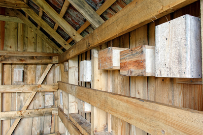 Im Inneren der Weidehütte hängen etliche Kästen an der Wand, die Vögeln Brutraum bieten. Bild: Gemeinde Saerbeck Im Inneren der Weidehütte hängen etliche Kästen an der Wand, die Vögeln Brutraum bieten. Bild: Gemeinde Saerbeck