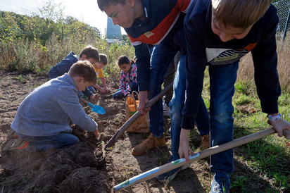 Ernte auf eigenem Acker: Achtklässler der MKG und Zweitklässler der St.-Georg-Grundschule bei der Kartoffelernte. (Foto: Alfred Riese) Ernte auf eigenem Acker: Achtklässler der MKG und Zweitklässler der St.-Georg-Grundschule bei der Kartoffelernte. (Foto: Alfred Riese)